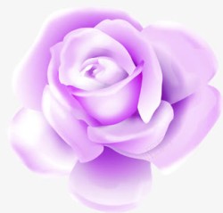 紫色卡通唯美花朵植物素材