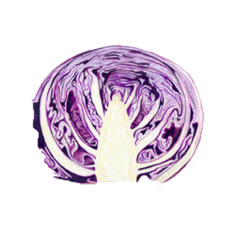紫色卷心菜矢量图素材