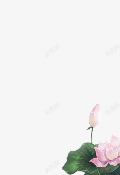 白色花朵装饰图标png_新图网 https://ixintu.com 白色 素材 花朵 装饰