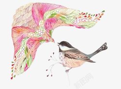 彩色虫鸟图案素材