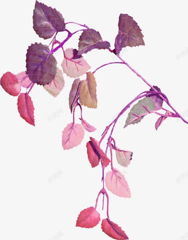 紫色唯美树叶植物手绘png免抠素材_新图网 https://ixintu.com 树叶 植物 紫色