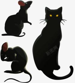 猫和黑老鼠素材