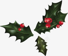 绿色手绘树叶圣诞装饰png免抠素材_新图网 https://ixintu.com 圣诞 树叶 绿色 装饰