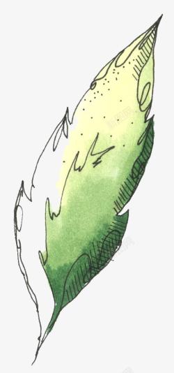 素描绿色叶子素材