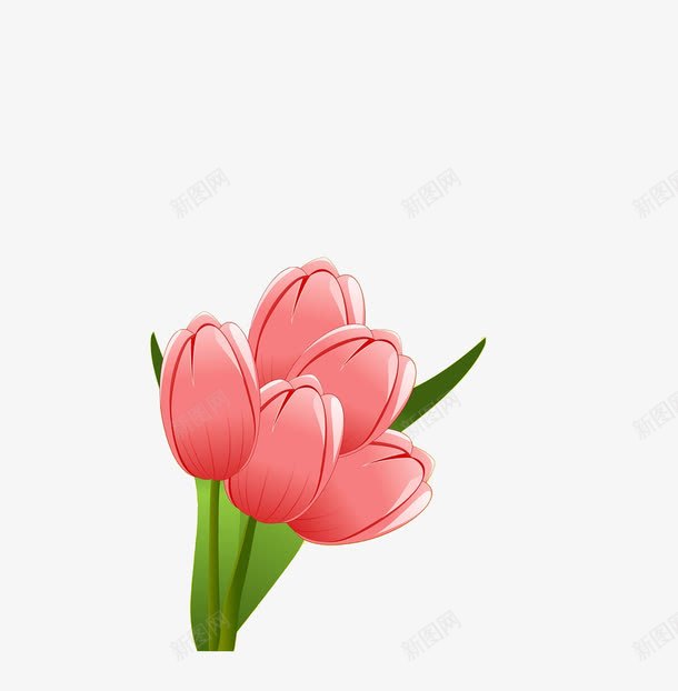 一束漂亮的花png免抠素材_新图网 https://ixintu.com 叶子 漂亮的花 粉色的花 花