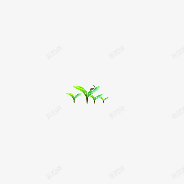 草绿色的草植物psd免抠素材_新图网 https://ixintu.com 草绿色的草植物