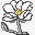 magnolia木兰玉兰图标高清图片