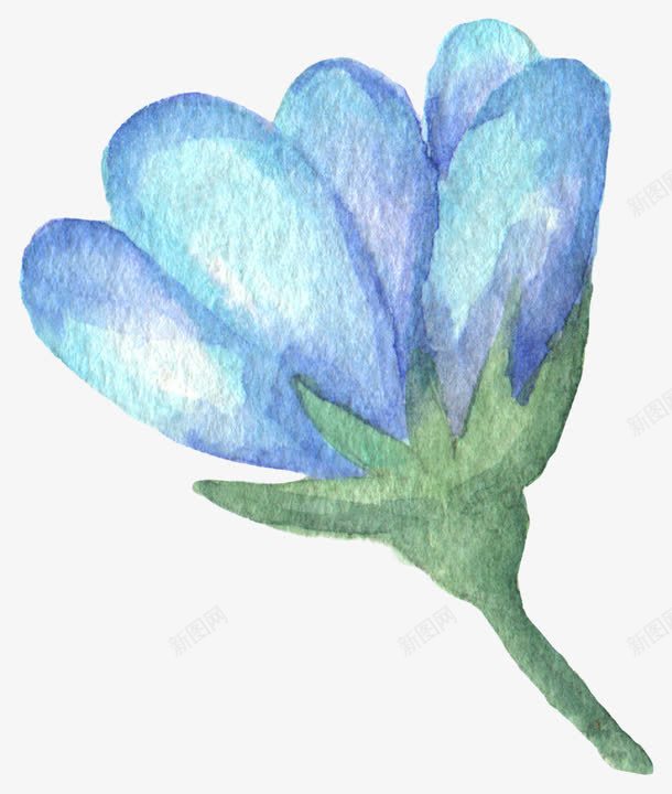 手绘蓝色花卉png免抠素材_新图网 https://ixintu.com 一朵花 水彩 水彩墨 花朵 鲜花