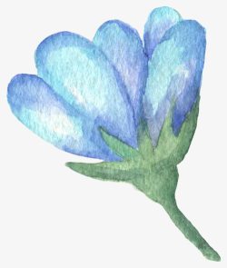手绘蓝色花卉素材