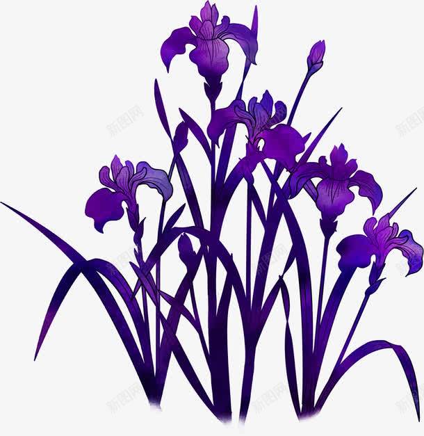 手绘紫色花卉画风png免抠素材_新图网 https://ixintu.com 画风 紫色 花卉