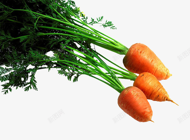 蔬菜胡萝卜png免抠素材_新图网 https://ixintu.com 绿色 绿色蔬菜 胡萝卜 蔬菜