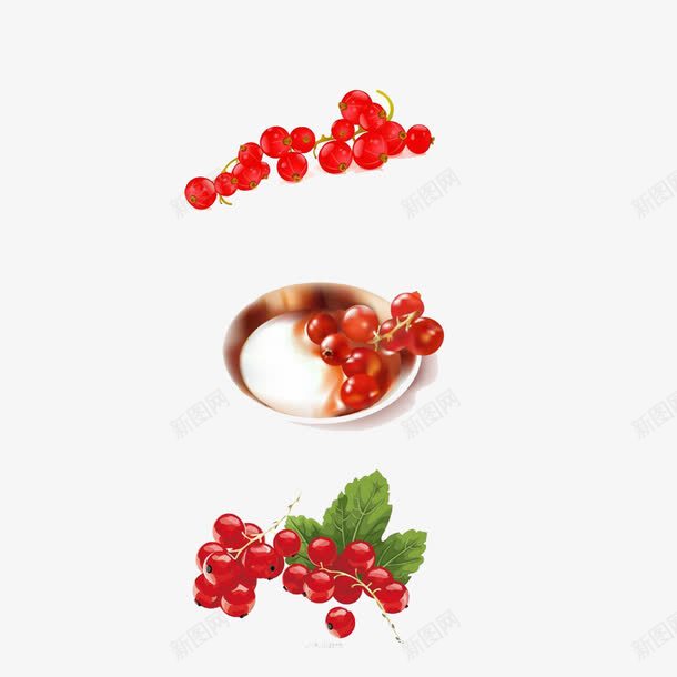 红红的蔓越莓png免抠素材_新图网 https://ixintu.com 小红果 水果 红色 蔓越莓