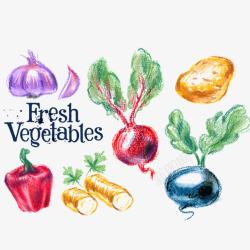 蔬菜矢量图素材