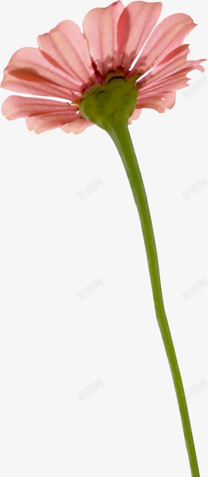 水墨古典艺术花朵png免抠素材_新图网 https://ixintu.com 古典 水墨 艺术 花朵
