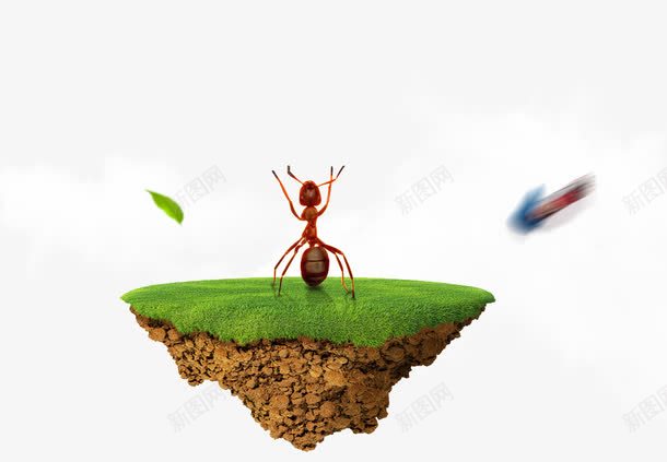 蚂蚁站草地png免抠素材_新图网 https://ixintu.com 树叶 球场 草地 蚂蚁