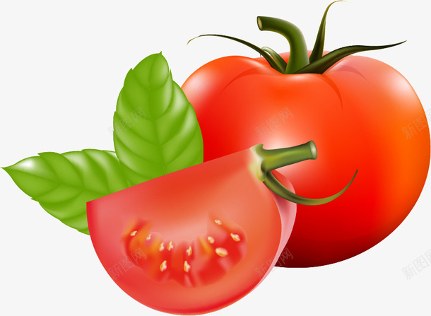 番茄叶子矢量图ai免抠素材_新图网 https://ixintu.com 水果 番茄 蔬菜 西红柿 矢量图