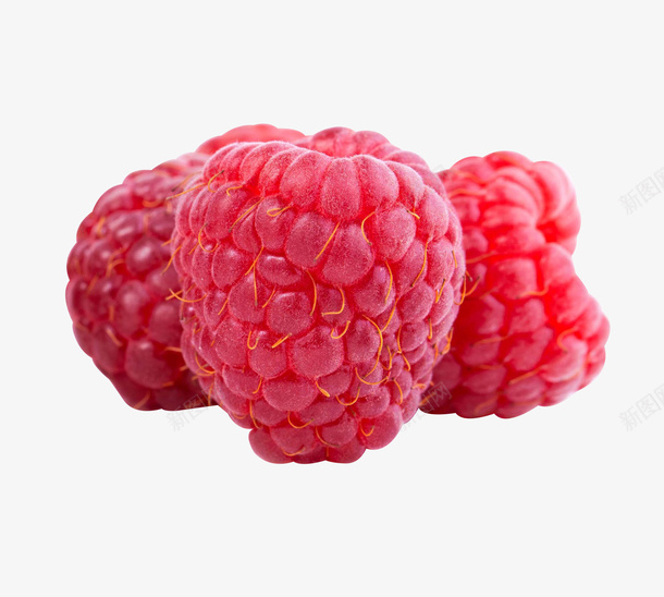 红莓png免抠素材_新图网 https://ixintu.com 新鲜 水果 红莓