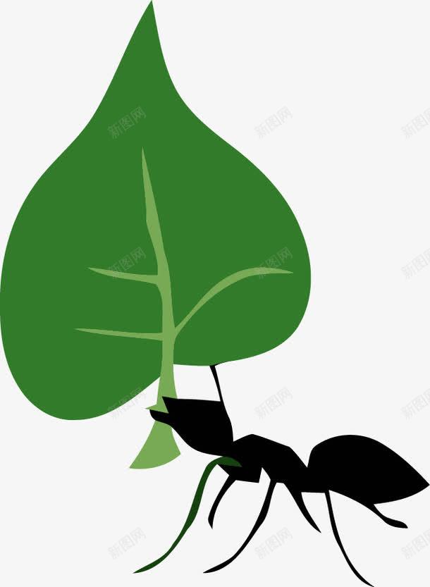 蚂蚁png免抠素材_新图网 https://ixintu.com 创意 树叶素材 矢量素材 蚂蚁素材