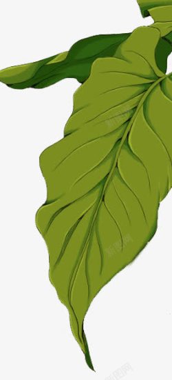 绿色创意手绘植物树叶素材