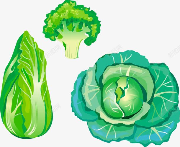 绿色蔬菜png免抠素材_新图网 https://ixintu.com 包菜 白菜 绿色 蔬菜 西兰花