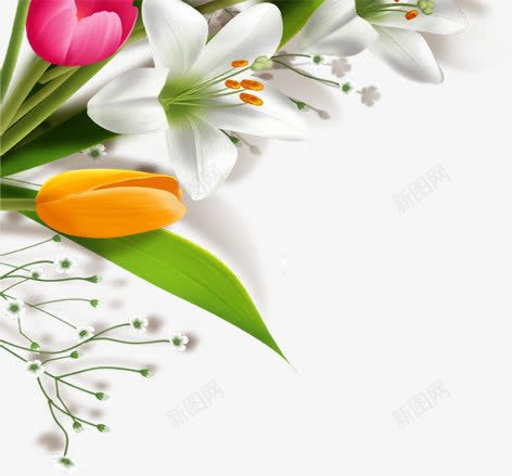 白色卡通鲜花花朵植物png免抠素材_新图网 https://ixintu.com 卡通 植物 白色 花朵 鲜花