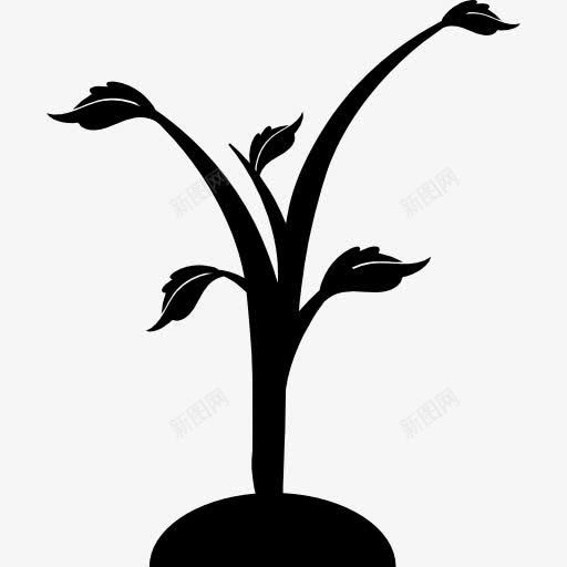 新树生长图标png_新图网 https://ixintu.com 性质 新的植物 树 植物 生长