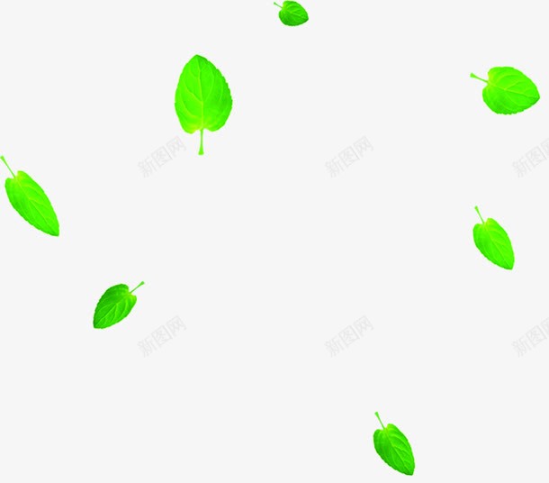 夏日植物绿色飘扬叶子png免抠素材_新图网 https://ixintu.com 叶子 夏日 植物 绿色 飘扬