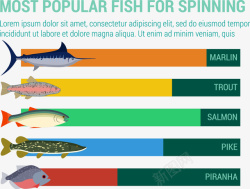 最受欢迎的鱼信息图表矢量图素材