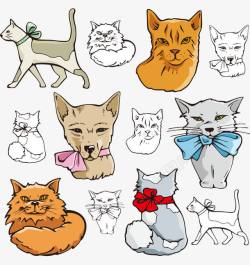 手绘卡通可爱宠物猫素材