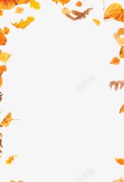 鎾旷焊杈规黄色清新树叶边框纹理高清图片