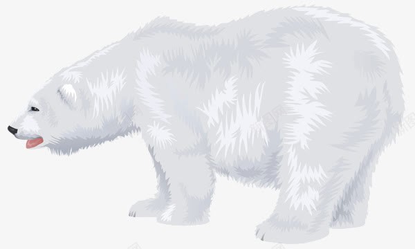 手绘白色北极熊png免抠素材_新图网 https://ixintu.com 动物 北极熊 手绘 白色
