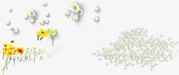 黄色鲜花和一簇鲜花png免抠素材_新图网 https://ixintu.com 鲜花 黄色