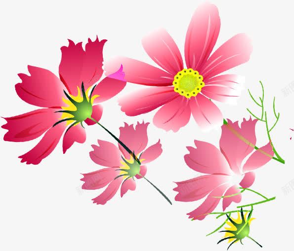 粉色唯美可爱花朵植物png免抠素材_新图网 https://ixintu.com 可爱 植物 粉色 花朵