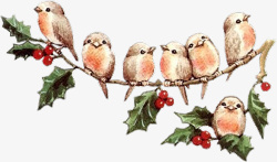 红雀鸟圣诞节高清图片