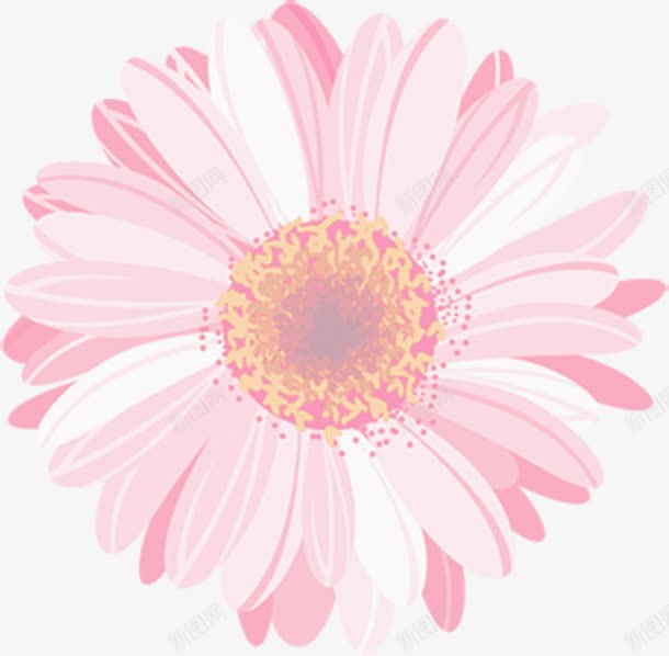 粉色手绘唯美花朵完整png免抠素材_新图网 https://ixintu.com 完整 粉色 花朵
