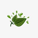 自然叶番茄酱图标png_新图网 https://ixintu.com leaf nature 叶 自然