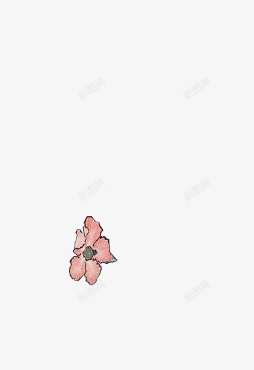创意手绘上色合成花卉png免抠素材_新图网 https://ixintu.com 创意 合成 花卉
