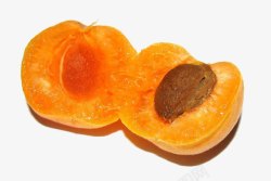 成熟的杏成熟的杏高清图片