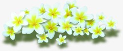 白色卡通花朵装饰春天素材