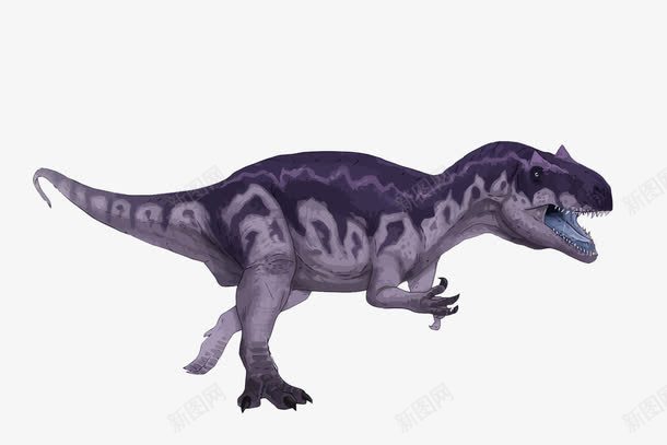 恐龙png免抠素材_新图网 https://ixintu.com 侏罗纪 侏罗纪公园 动物世界 博物馆 卡通 恐龙 手绘 矢量恐龙