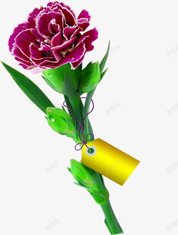紫色卡通节日花朵植物png免抠素材_新图网 https://ixintu.com 卡通 植物 紫色 节日 花朵