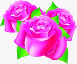 紫色手绘花朵玫瑰素材