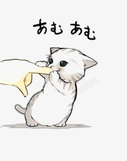 宠物猫玩耍小猫咪高清图片