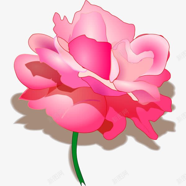红色蔷薇花png免抠素材_新图网 https://ixintu.com 植物 花朵