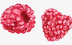 莓子手绘水彩木莓子高清图片