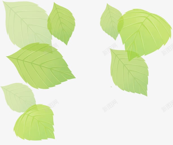清新绿色夏季透明树叶png免抠素材_新图网 https://ixintu.com 夏季 树叶 清新 绿色 透明