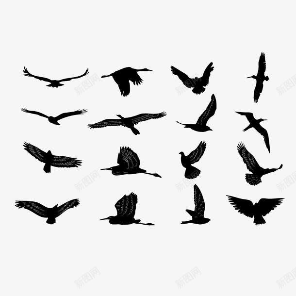 鸟的轮廓png免抠素材_新图网 https://ixintu.com 翅膀 鸟 鸟轮廓