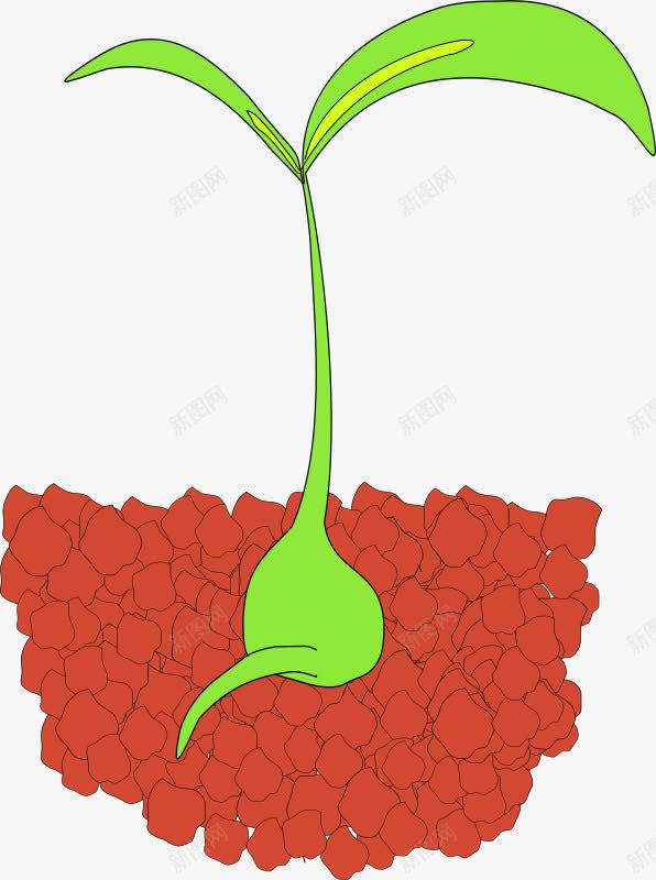 红色土壤中生长的绿色小芽png免抠素材_新图网 https://ixintu.com 土壤 生长 红色 绿色