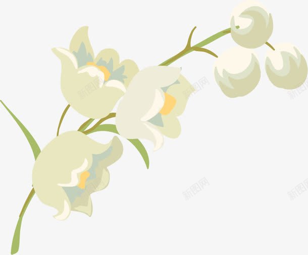 手绘白色花朵png免抠素材_新图网 https://ixintu.com 叶子 唯美 手绘 枝条 白色 简约 花朵 花瓣