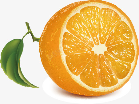 橙子png免抠素材_新图网 https://ixintu.com 桔黄色 橙子 水果